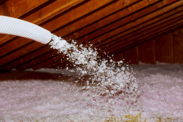 Best Blown-In Insulation  in Prospect, PA