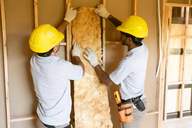 Eco-Friendly or Green Insulation Solutions in Prospect, PA